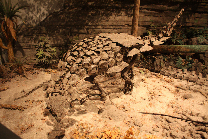 Гаргойлеозавр Гаргойлеозавр