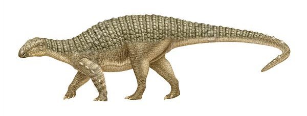 Нодозавр Нодозавр