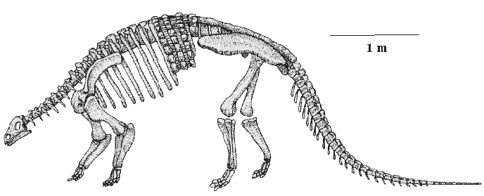 Нодозавр Нодозавр