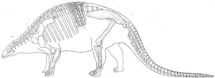 Нодозавр Нодозавр