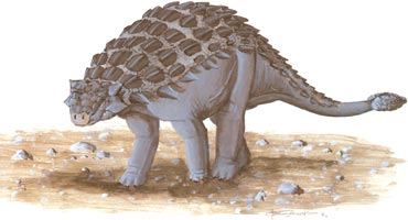 Shamosaurus Shamosaurus