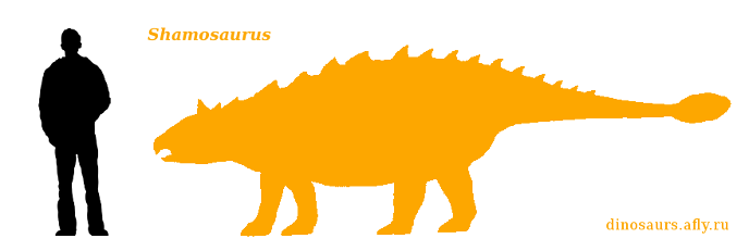 Shamosaurus Shamosaurus