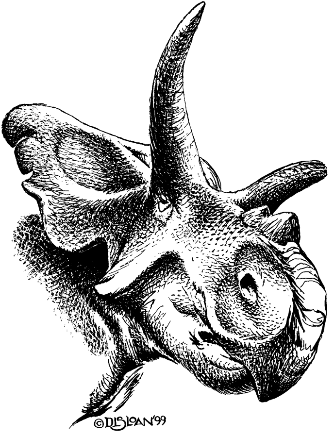 Medusaceratops Medusaceratops