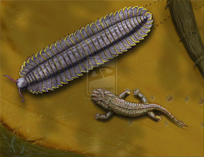 Артроплевра и онхиодон