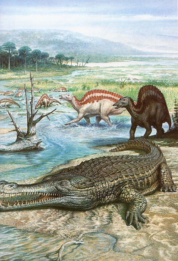 Саркозух Саркозух