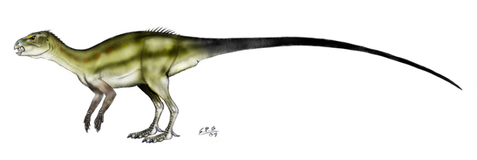 Ликорин Ликорин