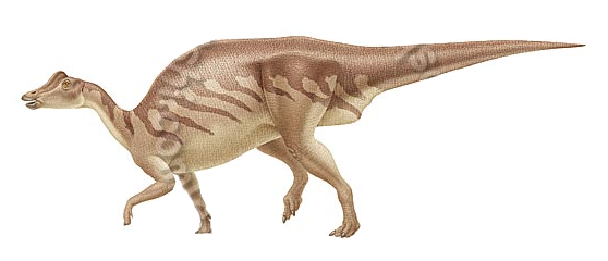 Ниппонозавр