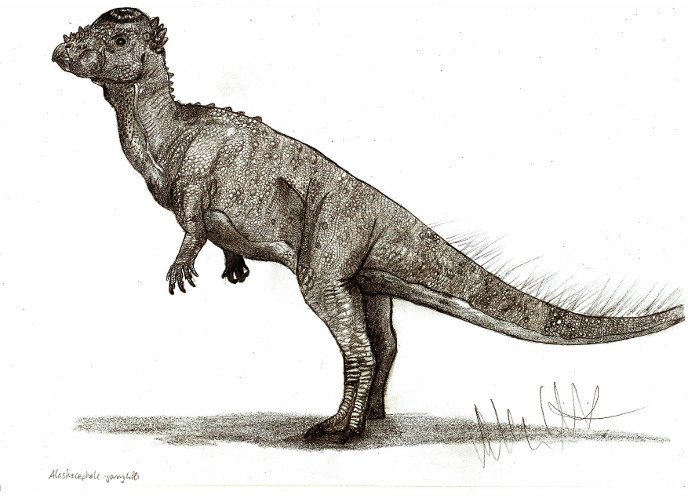 Аляскацефал Аляскацефал