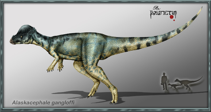 Аляскацефал Аляскацефал