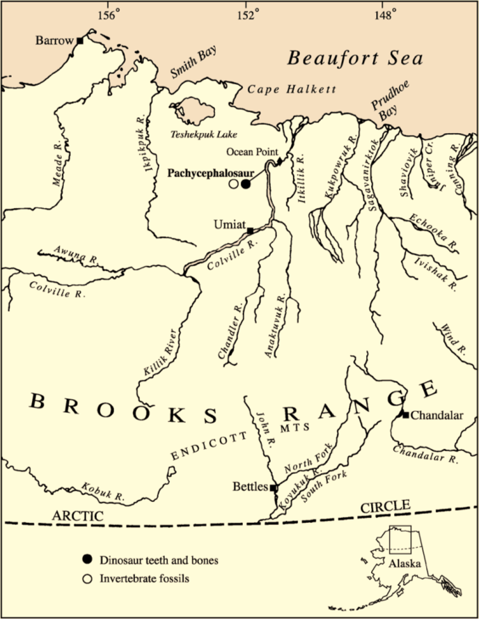 Место находки аляскацефала Место находки аляскацефала