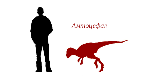 Amtocephale Amtocephale