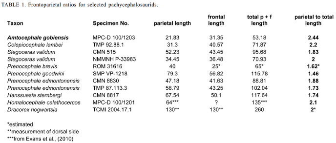 Сравнение купола амтоцефала и других пахицефалозавров Сравнение купола амтоцефала и других пахицефалозавров