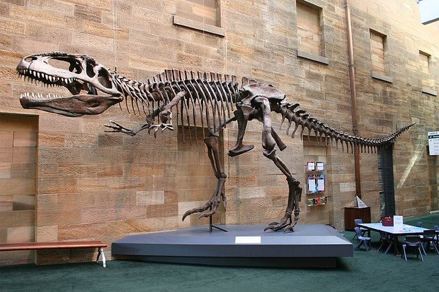 Гиганотозавр Гиганотозавр