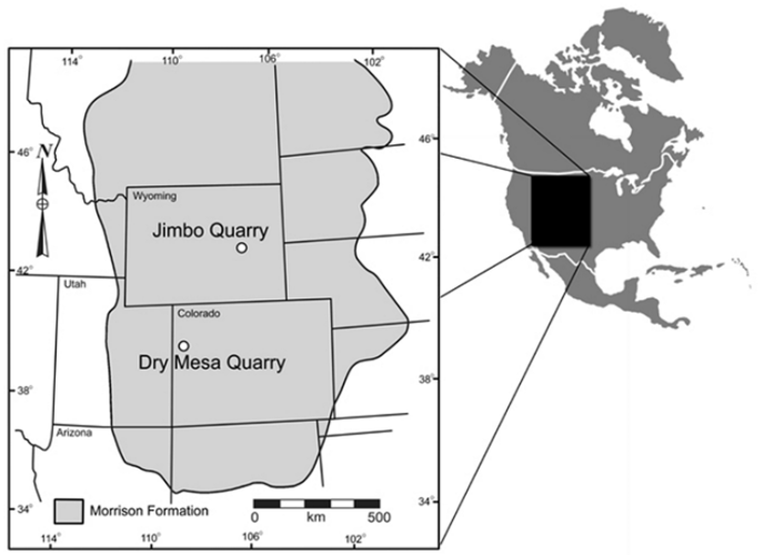 Место находки суперзавра